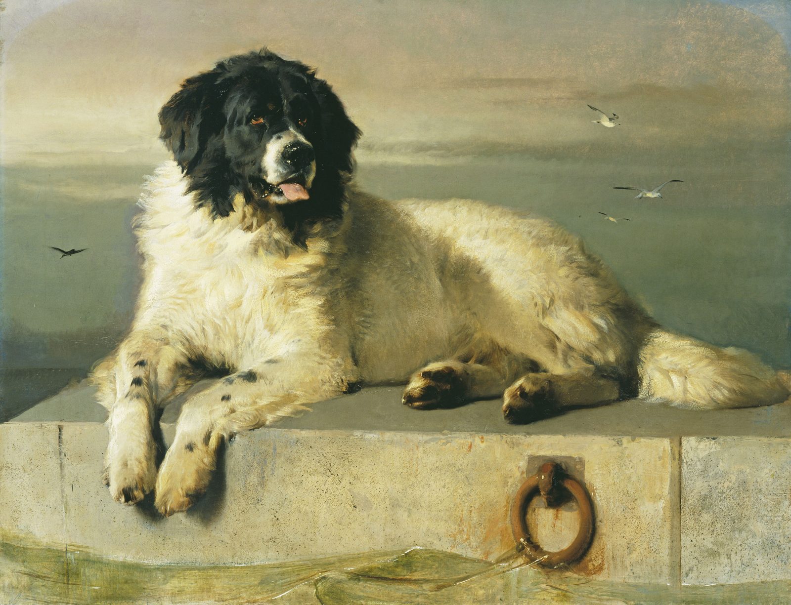 painting of a white dog on a concrete pad surrounded by water with seagulls