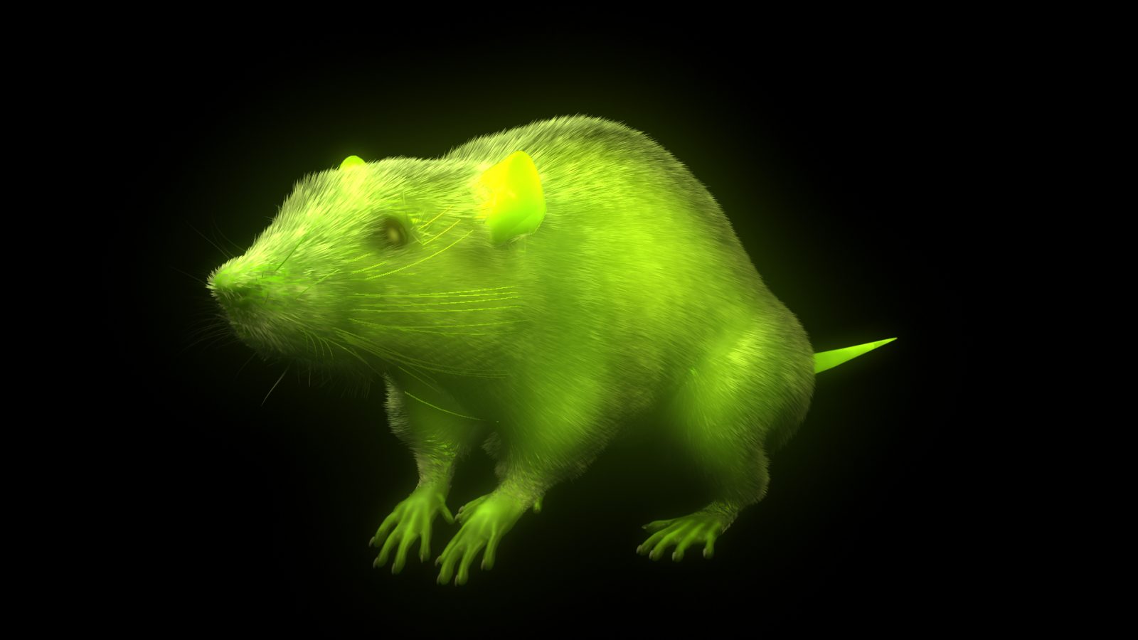 glowing green rat on black background 3d image
