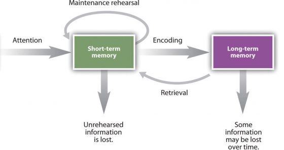 Diagram that demonstrates the relationship of short term memory and long term memory. It shows how information through attention enters short-term memory which can be lost. However, after encoding the information, it is stored in long term memory.