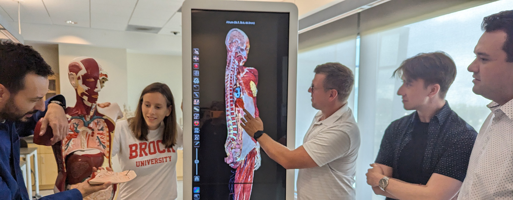 anatomy team looks at lab demonstration objects of the human body 