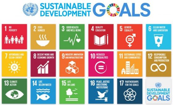 unsdg sdg goals