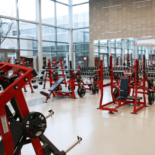 gym equipment in the zone
