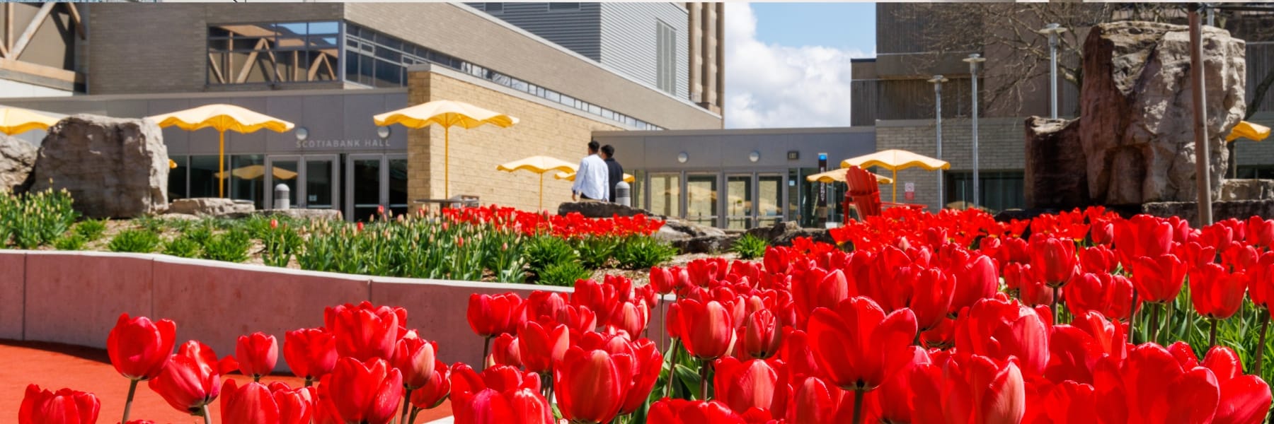 Walker Sports Complex outside view through tulips