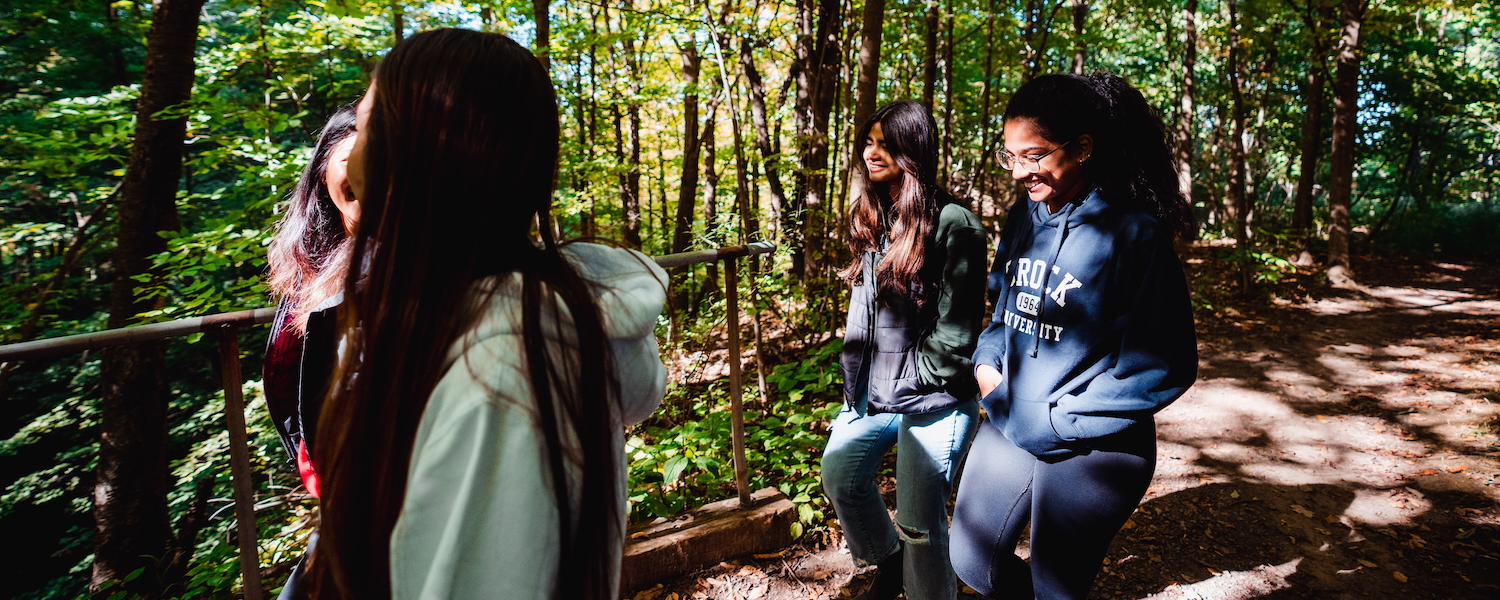 Four people walking on a path through a forest.