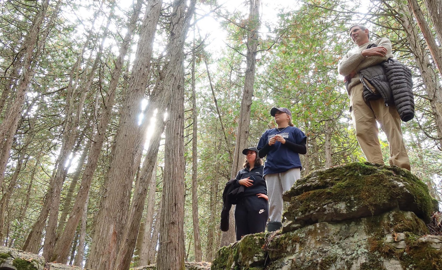 Associate Professor David Goldblum and two students stand atop mossy rocks in a forest, surrounded by tall trees with the sun shining between the branches at the Warsaw Caves Conservation Area. 