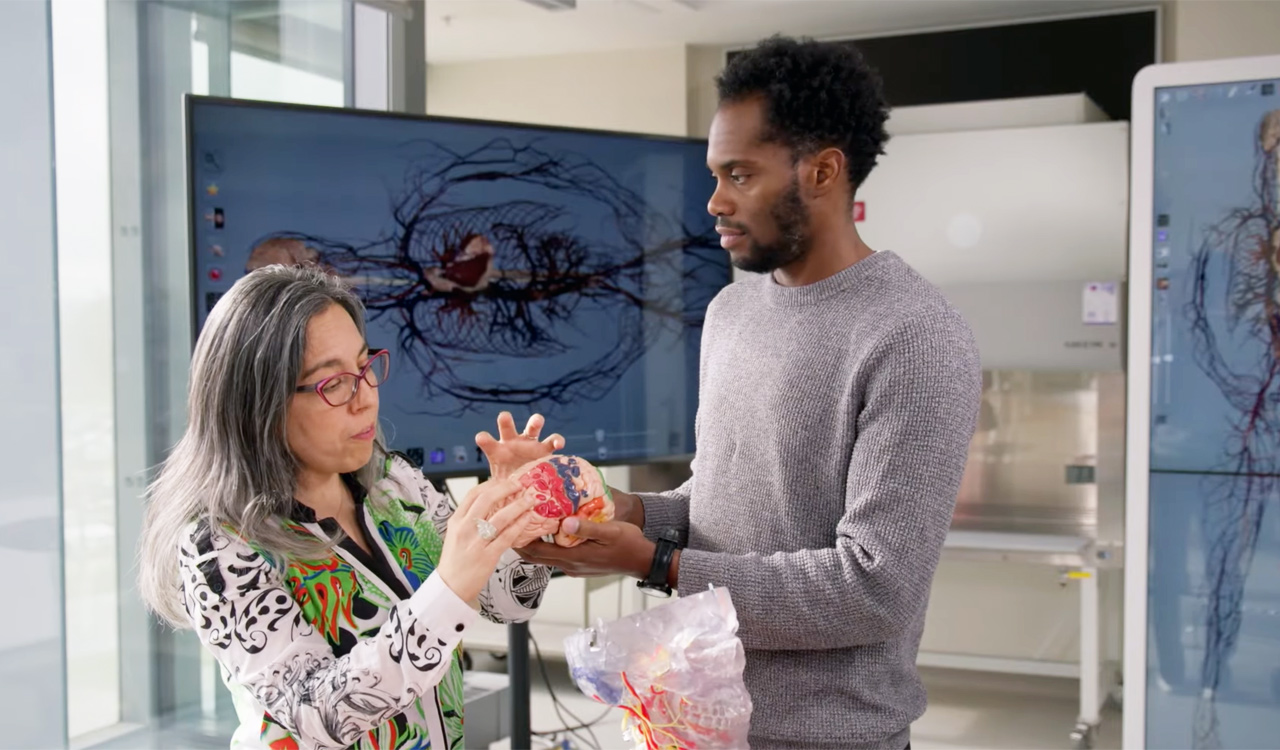 A man and woman look at a plastic model of a human brain in a lab.