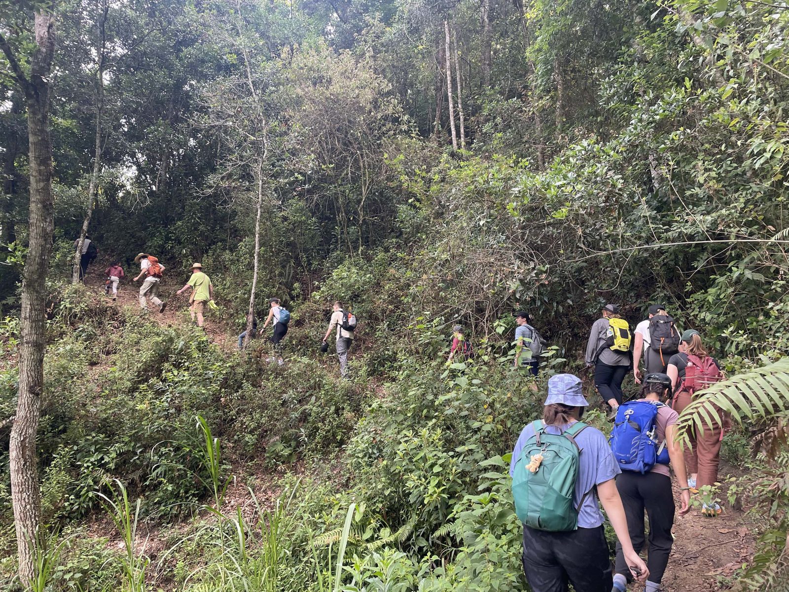 Students and researchers climb through rugged jungle terrain in Guatemala.