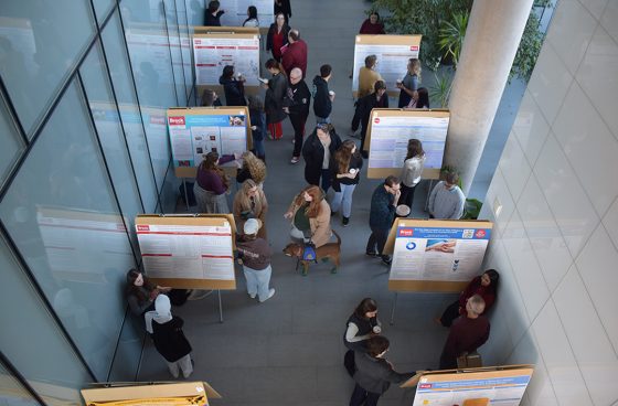 An overhead view of Social Sciences research posters and visitors to a poster fair, with research presented on easels.