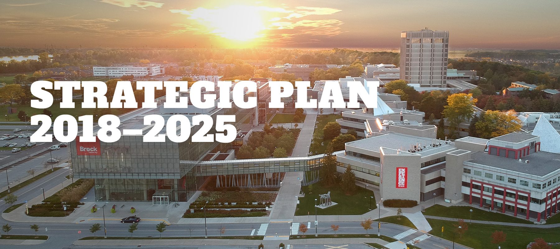 Strategic Plan 2018 2025 Niagara Roots Global Reach