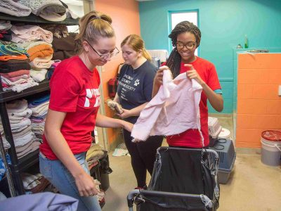 Two Brock students folding donations at the Humane Society