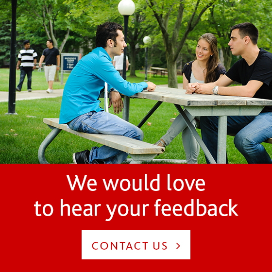 button to give sustainability feedback - goes to contact page