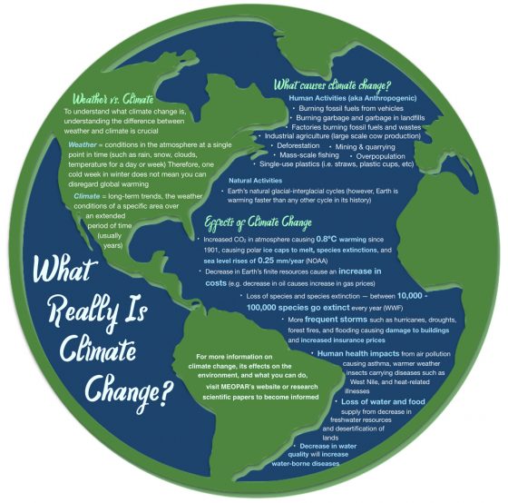 Infographic What Really Is Climate Change Infographic