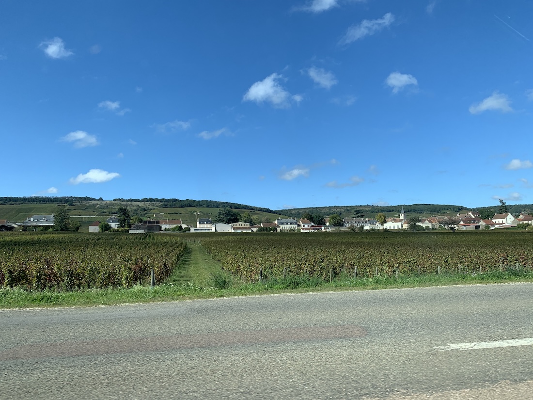 View of a field beside a road.
