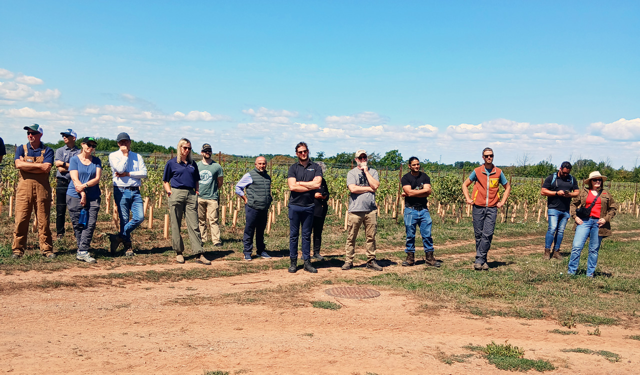 Group of people stand in a vineyard