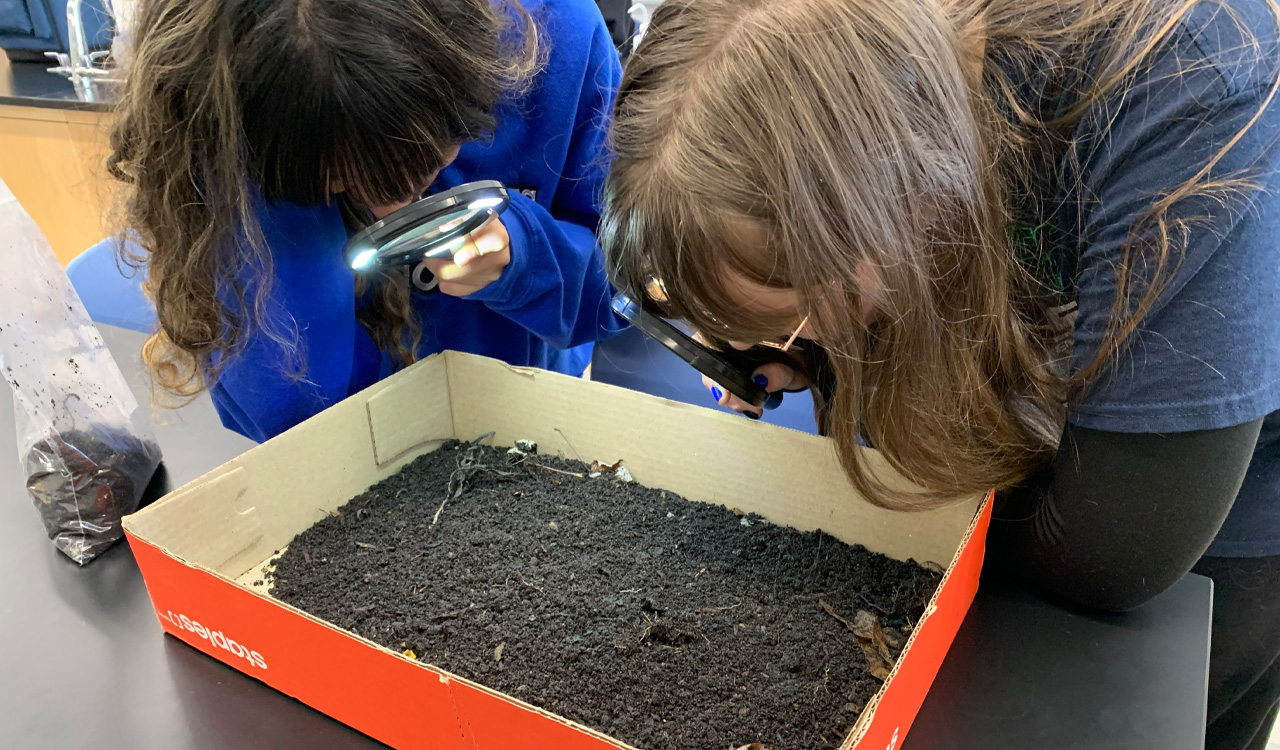 Two people lean over a box of soil and look at it with magnifying glass.