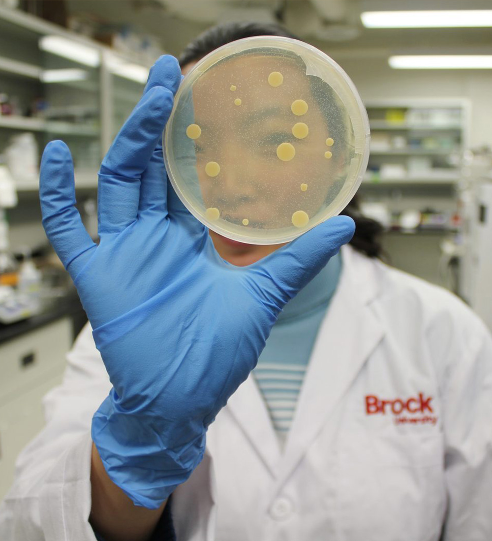 Mathematics and science student analyzing a petri dish 