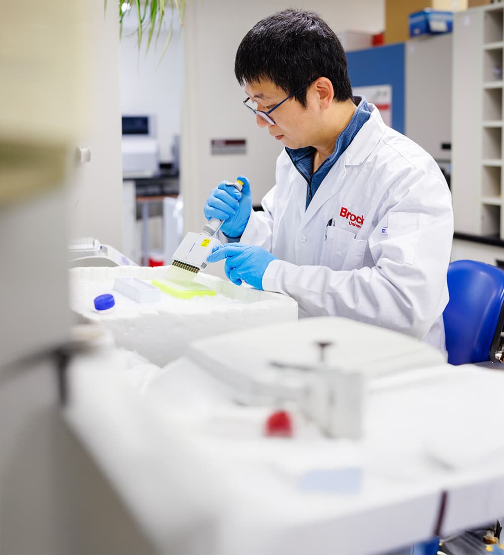 A researcher uses a multi-channel pipette to prepare laboratory samples in a research lab 
