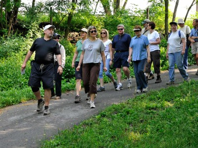 Group of adults walking a nature trail
